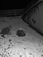 /album/galerie-photos/la-descente-jpg/